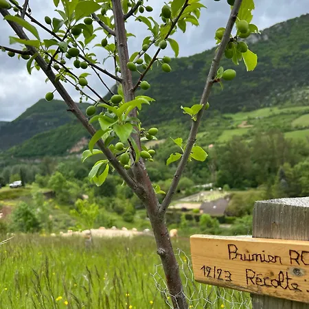 Lechappee Des Causses Мостюежуль