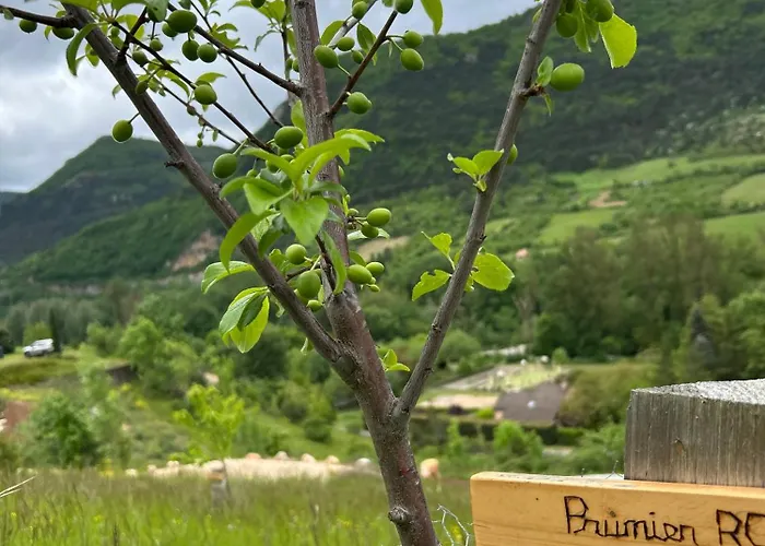 Lechappee Des Causses 모스튀에줄